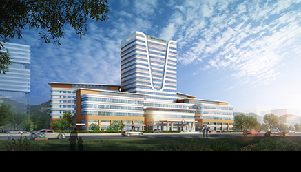 �����������ߵ��������Ǹ�Ů��ͯҽԺʩ���ֳ����вɷñ���