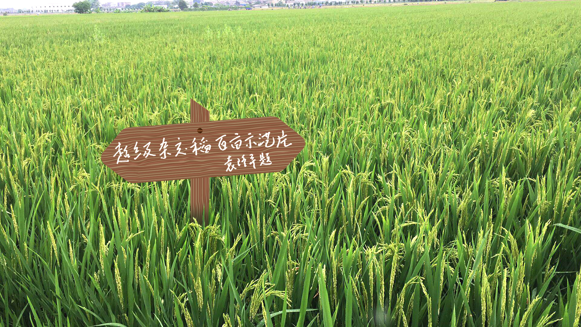 Ԭ¡ƽԺʿ�ڽ���ʵʩ�ĳ����ӽ�����Ķʾ��Ƭ��������